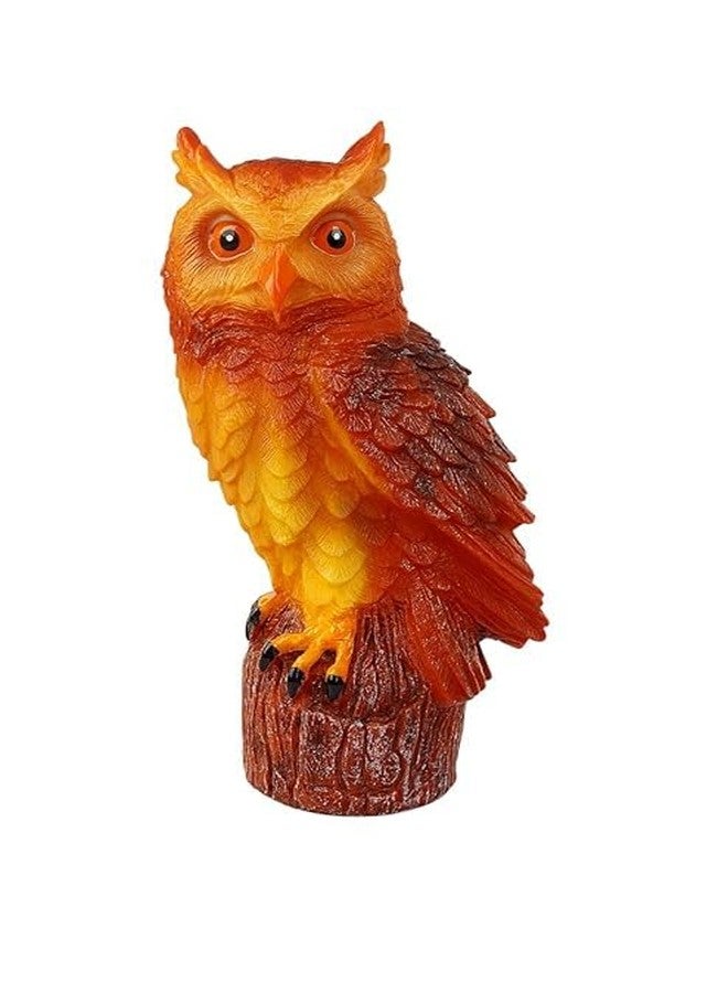 DTR Creation Kingfisher Rubber Toy Figure with Sound | Realistic Wildlife Bird Model for Kids | Musical Rubber Animal Toy | Educational Play | Collectible Figure (Multicolor, Pack fo 1ps) - Image 3